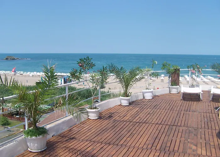 Damyanoff 2* 로제넷츠