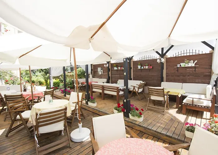 Damyanoff 로제넷츠